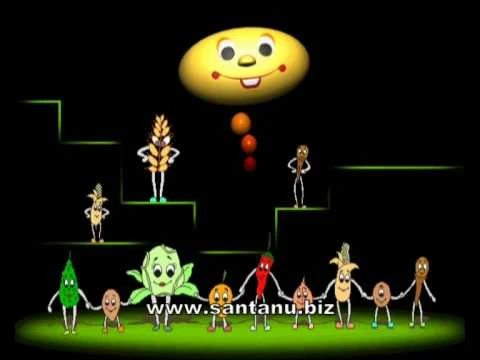 Signature Music for Plant Kingdom CDROM: Navneet Publications