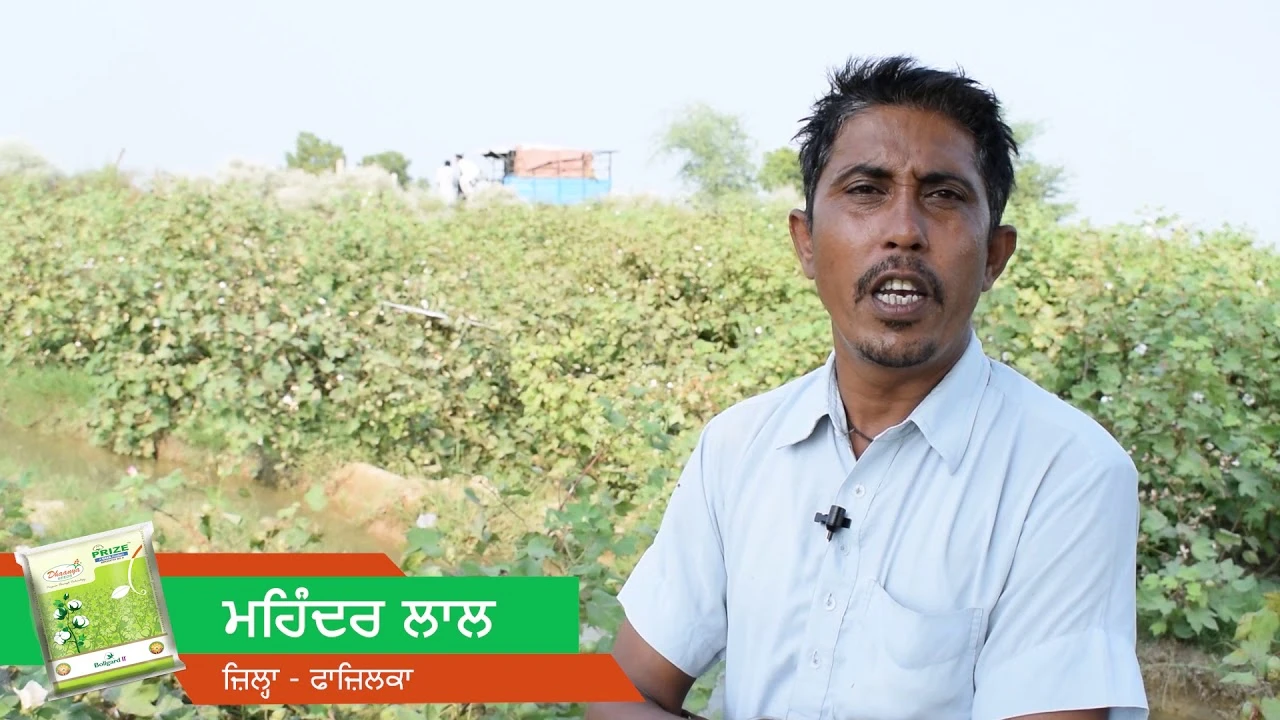 Prize Punjabi: TATA Rallis