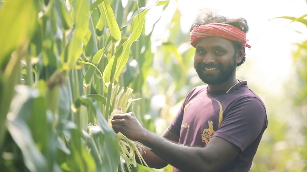 Dhanya Seeds (Hindi): Tata Rallis
