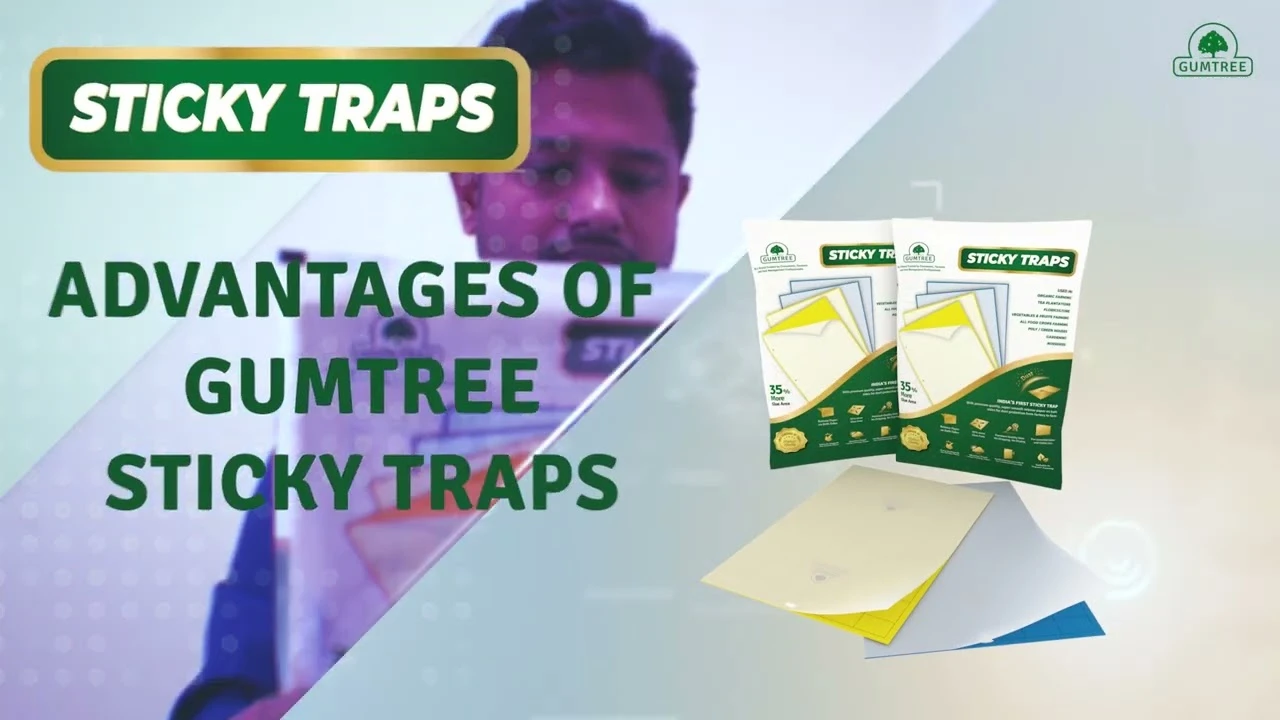 Product Usage Video | User manual Video | Sticky Traps: GumTree