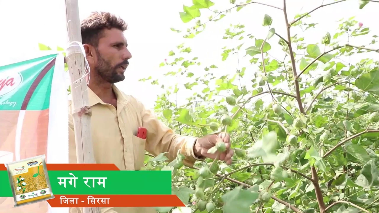 High-Impact Agricultural Product Promotion Video | Udham, Hindi : Tata Rallis India