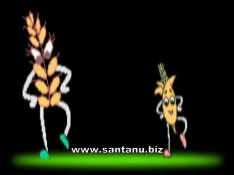 Grim-grom Cereals...Jingle for CDROM - Plant Kingdom : Navneet Publications