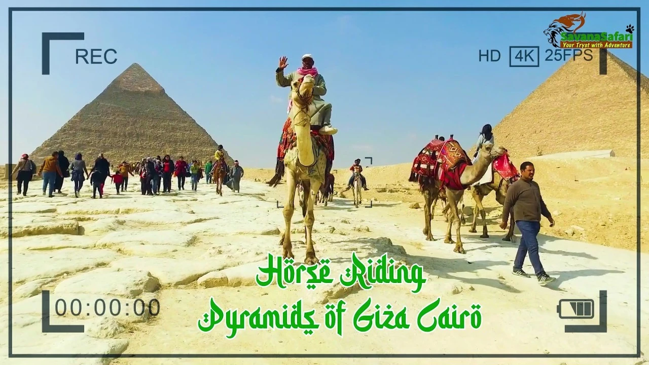 Destination Marketing Video Production | Egypt Tourism Campaign: SAVANA SAFARI LLP